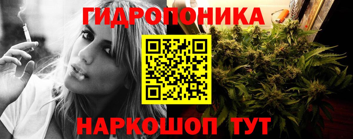 Конопля AK-47 Златоуст